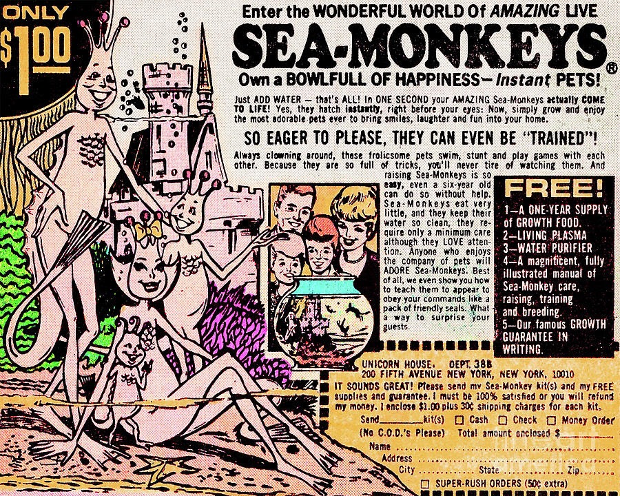 The Sea-Monkey marketing masterpiece