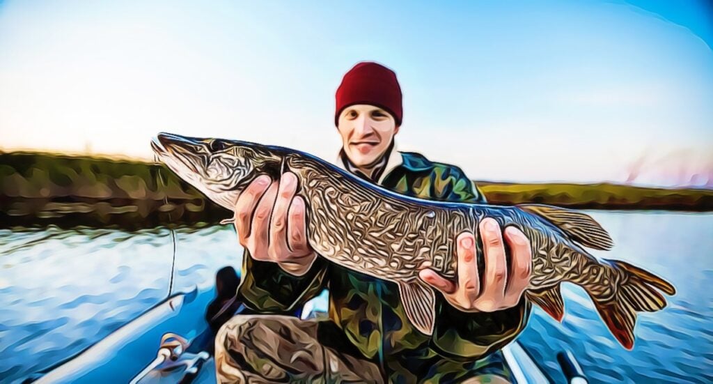 A person in a red beanie and camouflage jacket smiling while holding a large fish on a boat, with water and a shoreline in the background under a clear blue sky.