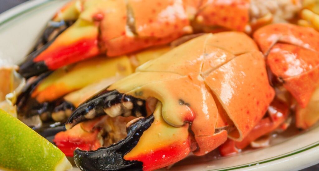 Close-up of cooked stone crab claws with orange and black shells, served on a white plate with a wedge of lime on the side.